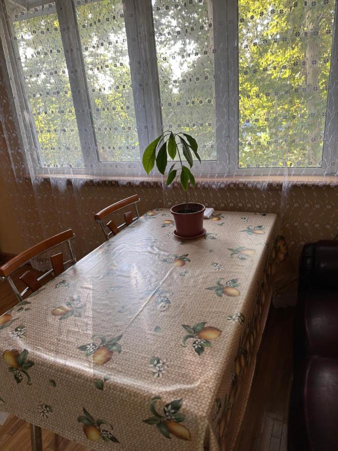 טשקנט Апартаменты У Парка Голубые Купола И Цум Apartments At Blue Dome Park מראה חיצוני תמונה
